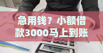 急用钱？小额借款3000马上到账，不看征信速审！