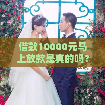 借款10000元马上放款是真的吗？3个避坑要点必看