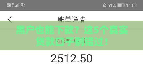 黑户也能下款？这5个真实贷款口子别错过！
