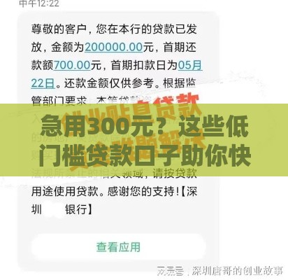 急用300元？这些低门槛贷款口子助你快速到账！