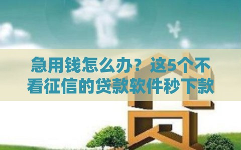 急用钱怎么办？这5个不看征信的贷款软件秒下款