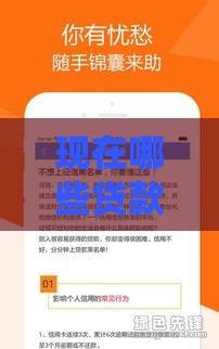 现在哪些贷款口子容易下款？最新整理推荐