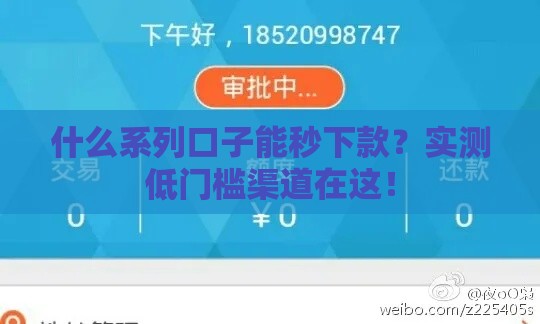 什么系列口子能秒下款？实测低门槛渠道在这！