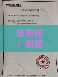 急用钱？别慌！不限年龄的借款平台盘点，资质宽松也能轻松下款