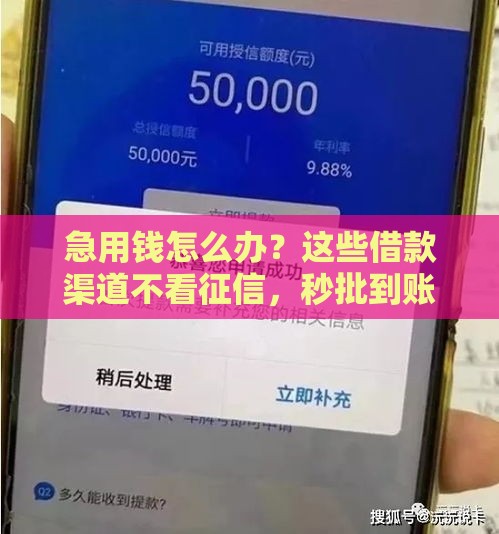 急用钱怎么办？这些借款渠道不看征信，秒批到账！