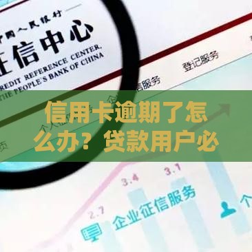 信用卡逾期了怎么办？贷款用户必看的5大自救指南