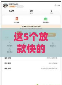 这5个放款快的平台，最快5分钟到账