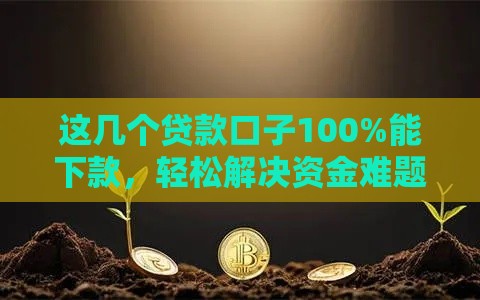 这几个贷款口子100%能下款，轻松解决资金难题