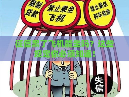 征信黑了飞机能坐吗？这些规定你必须知道！