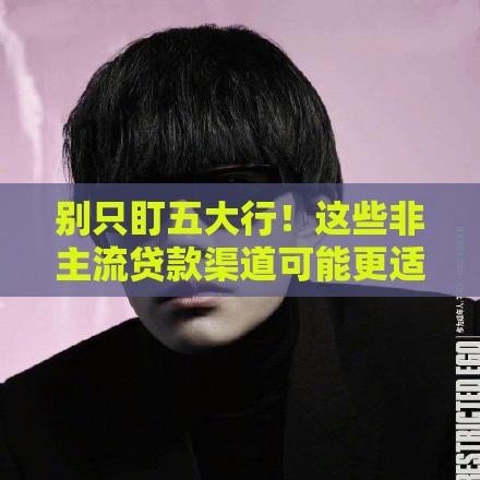 别只盯五大行！这些非主流贷款渠道可能更适合你