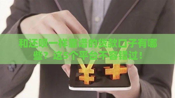 和还呗一样靠谱的贷款口子有哪些？这5个平台不容错过！