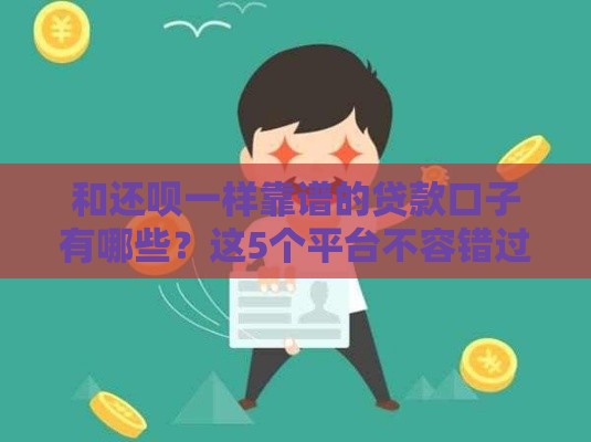 和还呗一样靠谱的贷款口子有哪些？这5个平台不容错过！