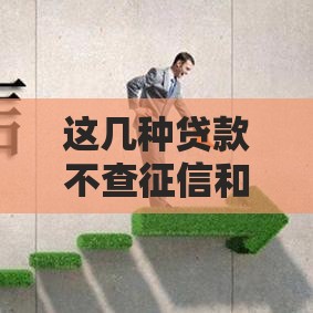 这几种贷款不查征信和大数据