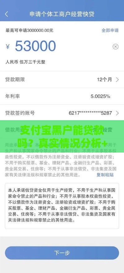 支付宝黑户能贷款吗？真实情况分析+3个替代方案