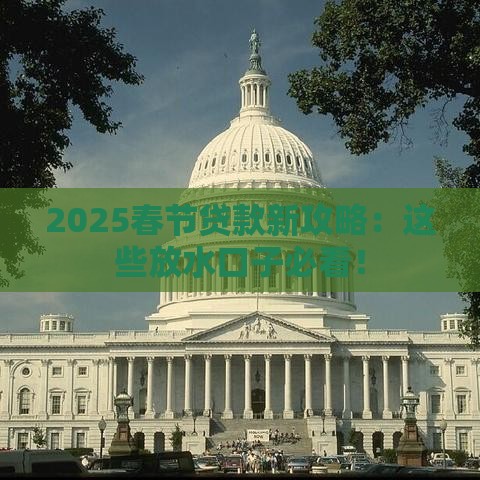 2025春节贷款新攻略：这些放水口子必看！