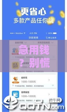 急用钱？别慌！贷款花了还能下款的渠道全解析