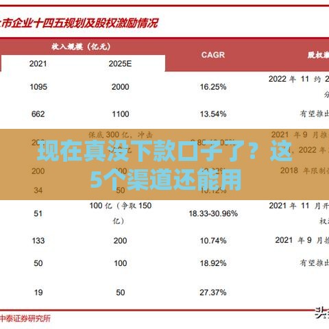 现在真没下款口子了？这5个渠道还能用