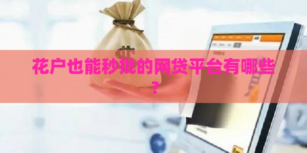 花户也能秒批的网贷平台有哪些？