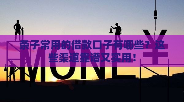 条子常用的借款口子有哪些？这些渠道靠谱又实用！