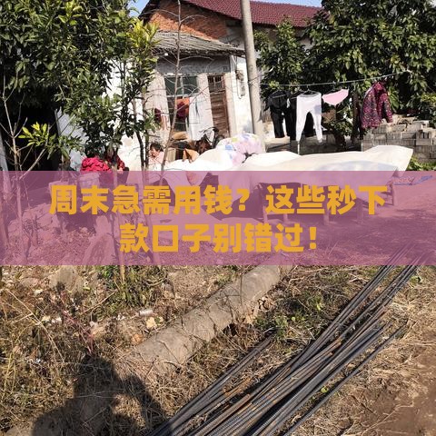 周末急需用钱？这些秒下款口子别错过！