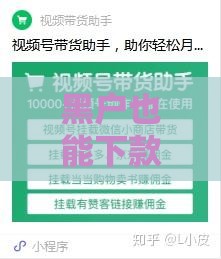 黑户也能下款的靠谱平台避坑指南