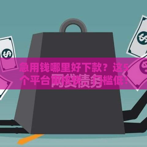 急用钱哪里好下款？这5个平台审核快、门槛低！