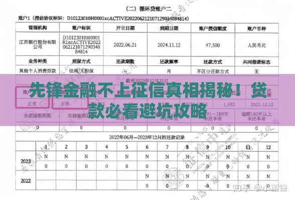 先锋金融不上征信真相揭秘！贷款必看避坑攻略
