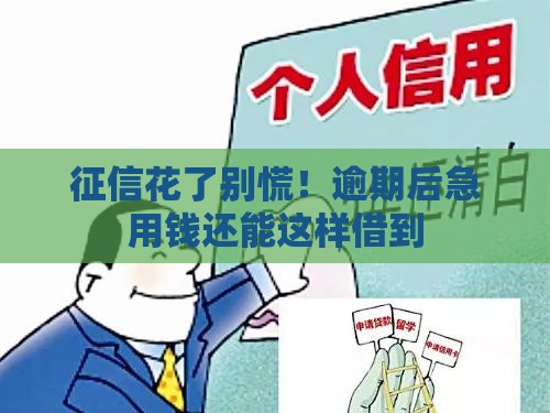 征信花了别慌！逾期后急用钱还能这样借到