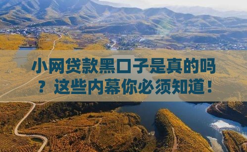 小网贷款黑口子是真的吗？这些内幕你必须知道！
