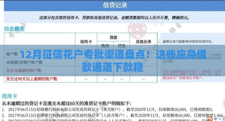 12月征信花户专批渠道盘点！这些应急借款通道下款稳