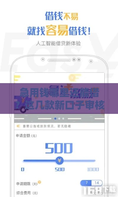 急用钱哪里还能借？这几款新口子审核快门槛低