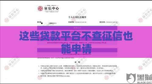这些贷款平台不查征信也能申请