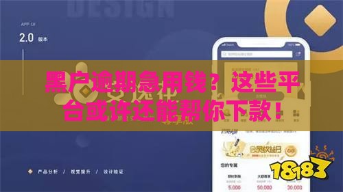 黑户逾期急用钱？这些平台或许还能帮你下款！