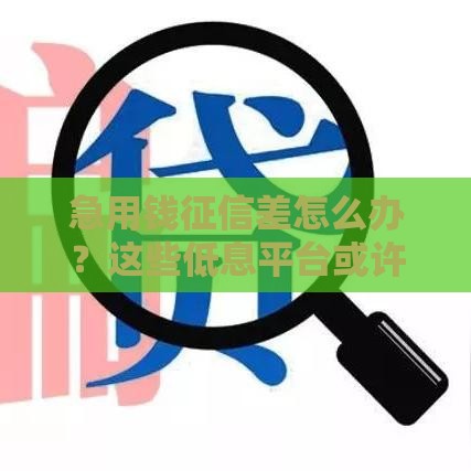 急用钱征信差怎么办？这些低息平台或许能帮到你！