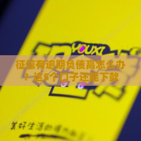 征信有逾期负债高怎么办？这5个口子还能下款