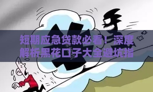 短期应急贷款必看！深度解析黑花口子大全避坑指南
