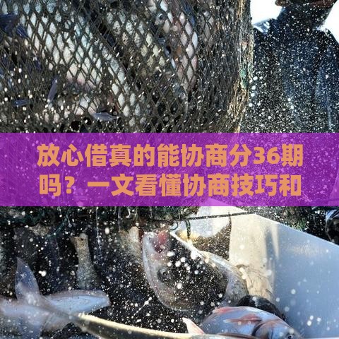 放心借真的能协商分36期吗？一文看懂协商技巧和注意事项！