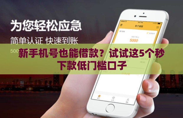 新手机号也能借款？试试这5个秒下款低门槛口子