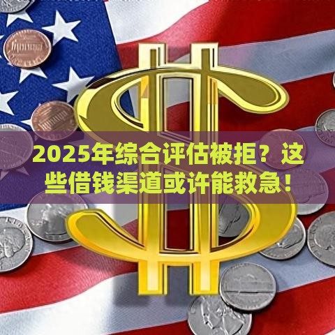 2025年综合评估被拒？这些借钱渠道或许能救急！