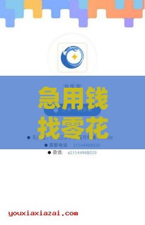 急用钱找零花侠系列口子？这5个平台真能应急！