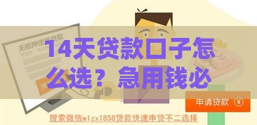 14天贷款口子怎么选？急用钱必看的5个靠谱渠道推荐