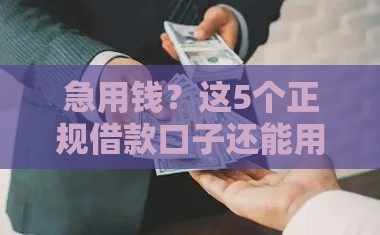 急用钱？这5个正规借款口子还能用！