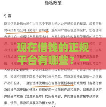 现在借钱的正规平台有哪些？一文盘点靠谱渠道！