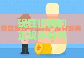 现在借钱的正规平台有哪些？一文盘点靠谱渠道！