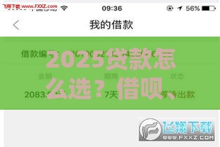2025贷款怎么选？借呗、网商贷双持攻略，手把手教你灵活周转