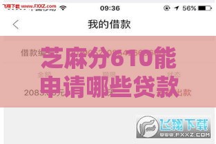 芝麻分610能申请哪些贷款？这5个口子门槛低、审批快！