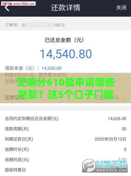 芝麻分610能申请哪些贷款？这5个口子门槛低、审批快！