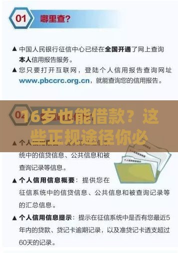 16岁也能借款？这些正规途径你必须知道！