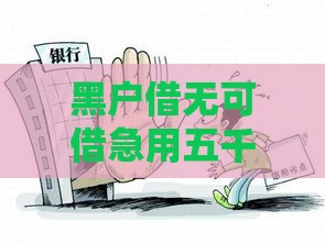 黑户借无可借急用五千？手把手教你5招应急攻略！