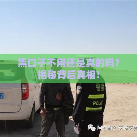 黑口子不用还是真的吗？揭秘背后真相！